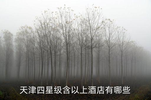 天津市天津津利華大酒店，天津津利華大酒店怎么樣