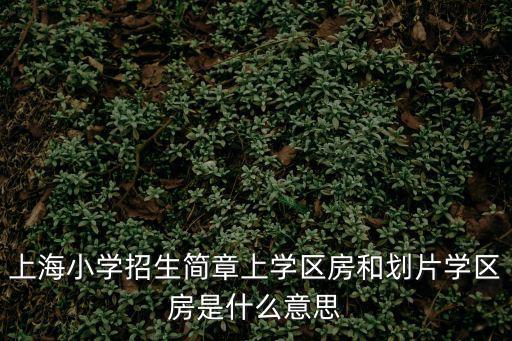 上海小學招生簡章上學區房和劃片學區房是什么意思