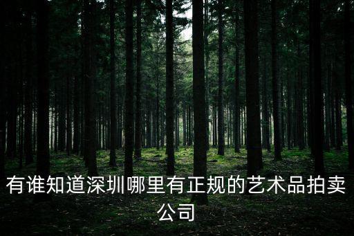 有誰知道深圳哪里有正規的藝術品拍賣公司