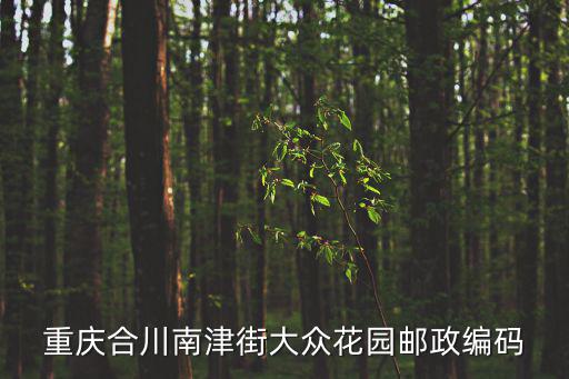 重慶合川南津街大眾花園郵政編碼