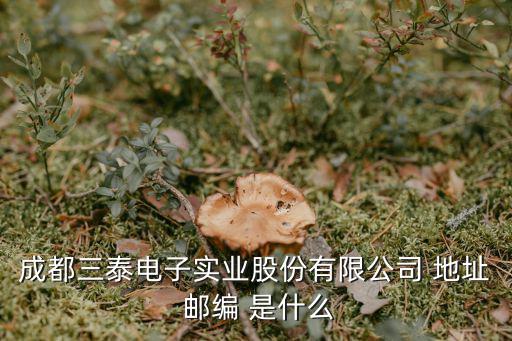 成都三泰電子實業股份有限公司 地址 郵編 是什么