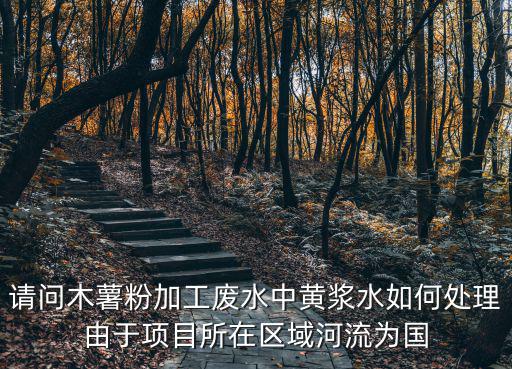請問木薯粉加工廢水中黃漿水如何處理由于項目所在區域河流為國