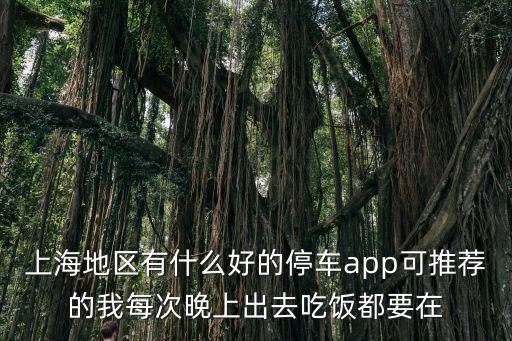 上海市最新停車，現在上海市區一搬般停車多少錢一個小時