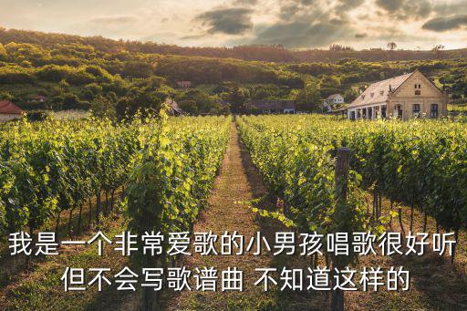 廣州 男童 合唱 面試，我知道一個外國小男孩童星唱歌很好聽的叫什么甲辛聽彼勃字
