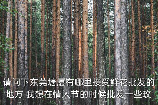 請(qǐng)問(wèn)下東莞塘廈有哪里接受鮮花批發(fā)的地方 我想在情人節(jié)的時(shí)候批發(fā)一些玫
