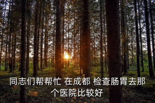 同志們幫幫忙 在成都 檢查腸胃去那個醫(yī)院比較好
