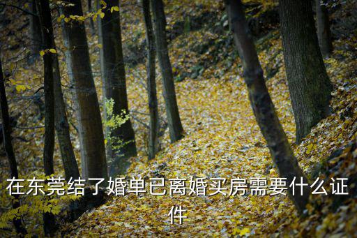 在東莞結了婚單已離婚買房需要什么證件