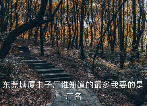 東莞塘廈電子廠誰知道的最多我要的是廠名
