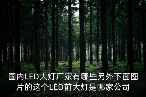 國(guó)內(nèi)LED大燈廠家有哪些另外下面圖片的這個(gè)LED前大燈是哪家公司