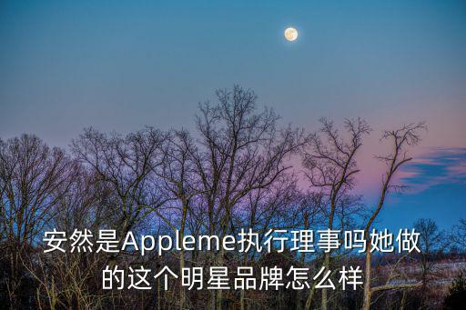 廣州安然化妝品公司簡介，安然公司 英文名稱
