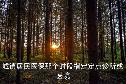 城鎮居民醫保那個時段指定定點診所或醫院