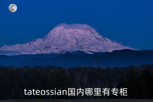 tateossian國內哪里有專柜