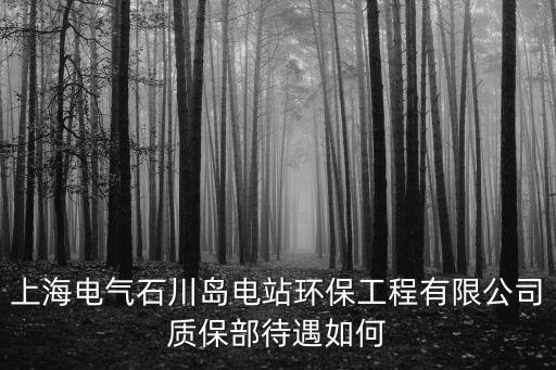 上海電氣石川島電站環(huán)保工程有限公司質(zhì)保部待遇如何
