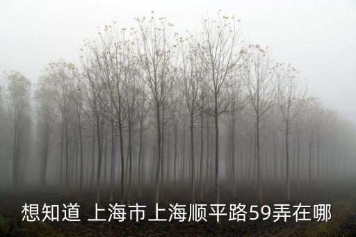 想知道 上海市上海順平路59弄在哪