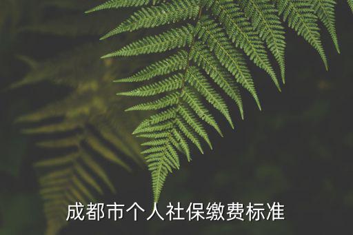 成都市個人社保繳費標(biāo)準(zhǔn)