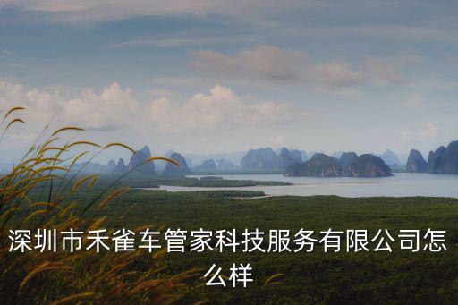 深圳市禾雀車管家科技服務有限公司怎么樣