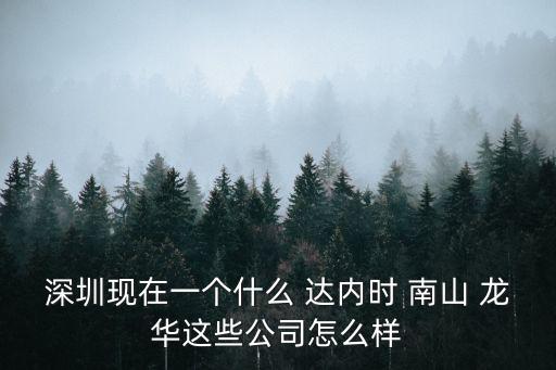 深圳現在一個什么 達內時 南山 龍華這些公司怎么樣