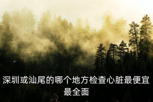 深圳或汕尾的哪個地方檢查心臟最便宜最全面