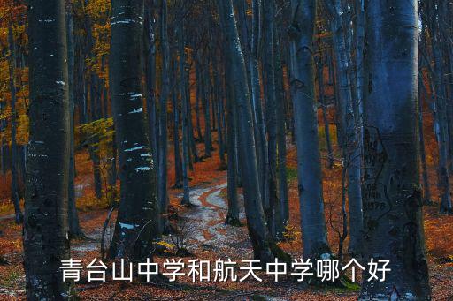 青臺山中學和航天中學哪個好