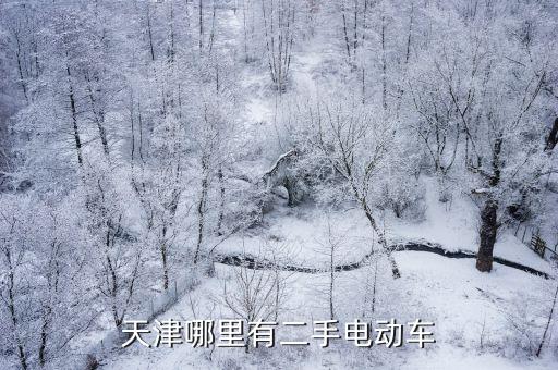 天津哪里有二手電動車