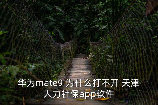 華為mate9 為什么打不開 天津人力社保app軟件