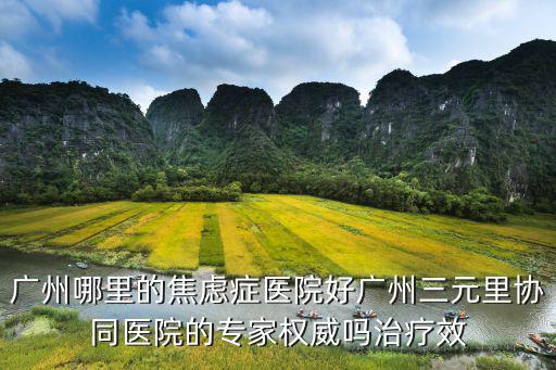 廣州哪里的焦慮癥醫院好廣州三元里協同醫院的專家權威嗎治療效