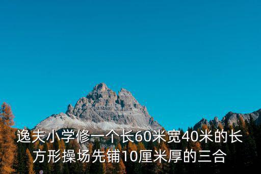 上海市逸夫小學足球場，逸夫小學有幾個分部