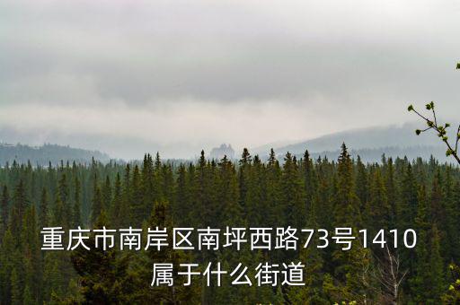 重慶市南岸區(qū)南坪西路73號(hào)1410屬于什么街道