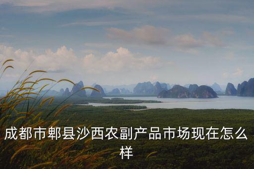 成都市沙西農(nóng)副產(chǎn)品批發(fā)市場 評論，成都市郫縣沙西農(nóng)副產(chǎn)品市場現(xiàn)在怎么樣