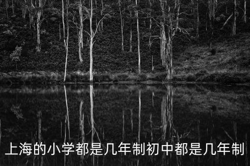 上海的小學都是幾年制初中都是幾年制