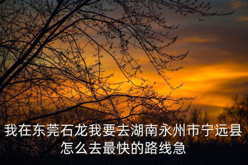 我在東莞石龍我要去湖南永州市寧遠(yuǎn)縣怎么去最快的路線急
