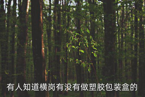 有人知道橫崗有沒有做塑膠包裝盒的