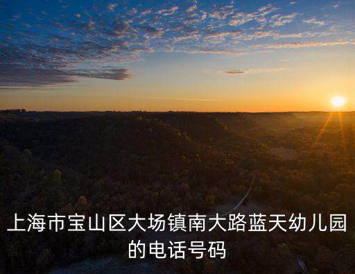 上海市寶山區(qū)大場鎮(zhèn)南大路藍(lán)天幼兒園的電話號碼