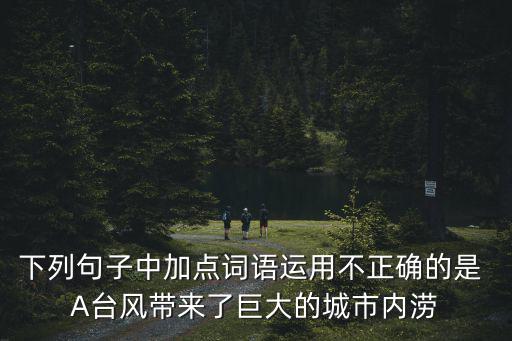 下列句子中加點(diǎn)詞語(yǔ)運(yùn)用不正確的是 A臺(tái)風(fēng)帶來(lái)了巨大的城市內(nèi)澇