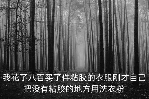 廣州艾力不粘膠，我花了八百買了件粘膠的衣服剛才自己把沒有粘膠的地方用洗衣粉