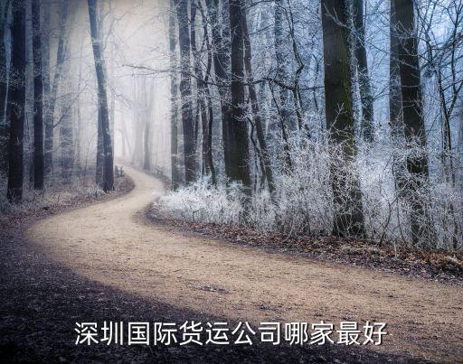 深圳國際貨運(yùn)公司哪家最好