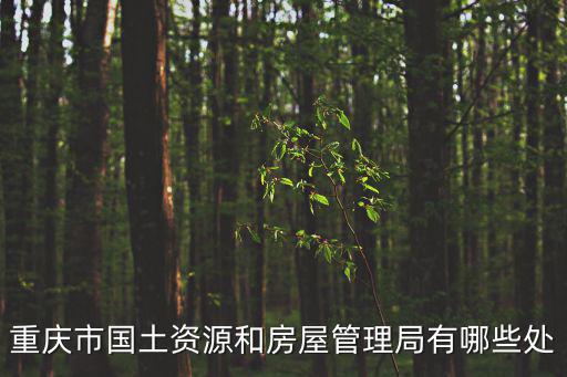 重慶市國土資源和房屋管理局有哪些處