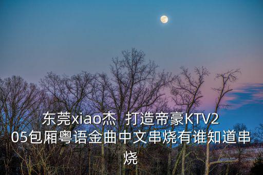東莞xiao杰  打造帝豪KTV205包廂粵語金曲中文串燒有誰知道串燒