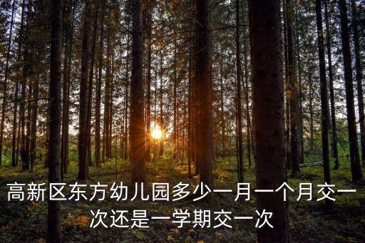 成都市高新區(qū)幼稚園收費，在成都上幼兒園一般建園費是多少