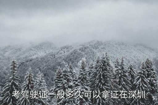 深圳考駕駛證要多久，深圳考駕照需要多久