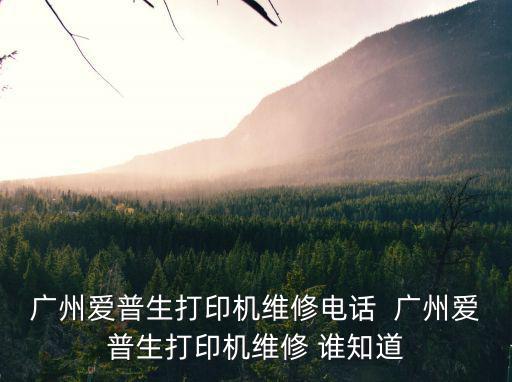 廣州愛(ài)普生打印機(jī)維修電話  廣州愛(ài)普生打印機(jī)維修 誰(shuí)知道