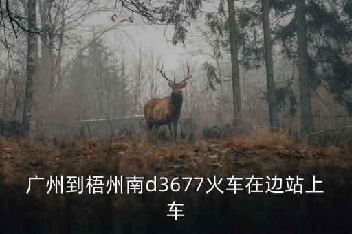廣州到梧州南d3677火車在邊站上車