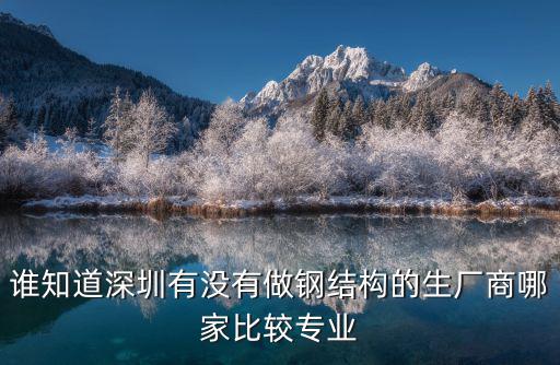 誰知道深圳有沒有做鋼結(jié)構(gòu)的生廠商哪家比較專業(yè)