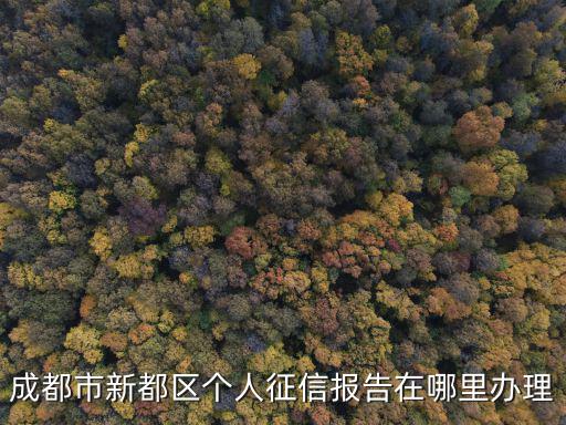成都市新都區(qū)個(gè)人征信報(bào)告在哪里辦理