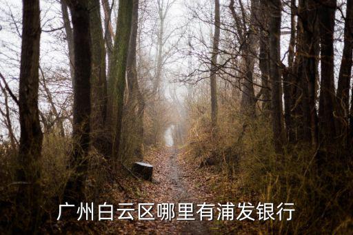 廣州白云區(qū)哪里有浦發(fā)銀行