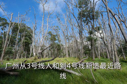 廣州從3號線人和到4號線新造最近路線