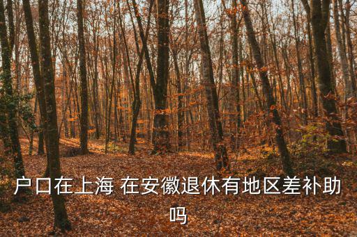 戶口在上海 在安徽退休有地區差補助嗎