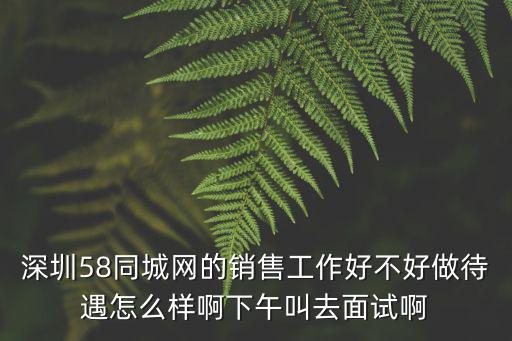 深圳58同城網的銷售工作好不好做待遇怎么樣啊下午叫去面試啊