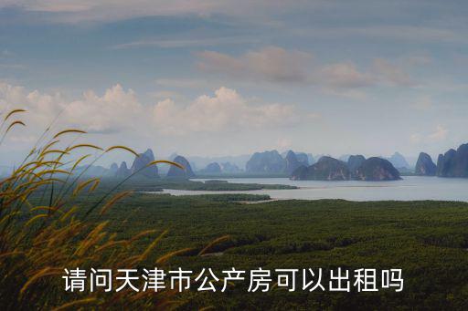 請問天津市公產房可以出租嗎