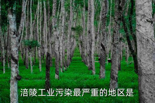 涪陵工業污染最嚴重的地區是